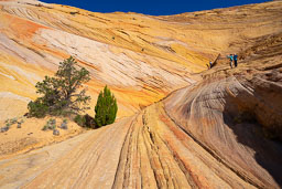 Hikers-Admiring-Colorful-Sandstone-V-Notch.jpg